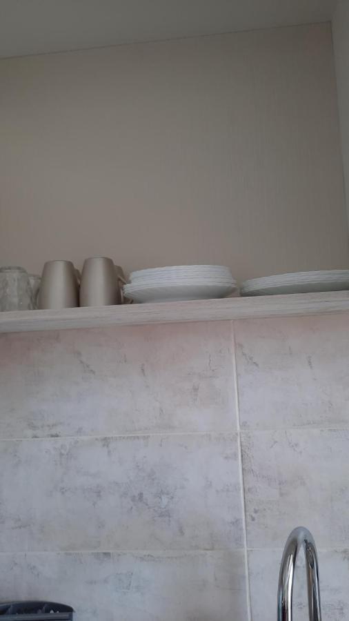 New Grey Residence Apartament Târgu-Mureş エクステリア 写真
