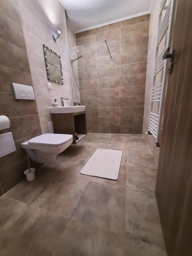 New Grey Residence Apartament Târgu-Mureş エクステリア 写真