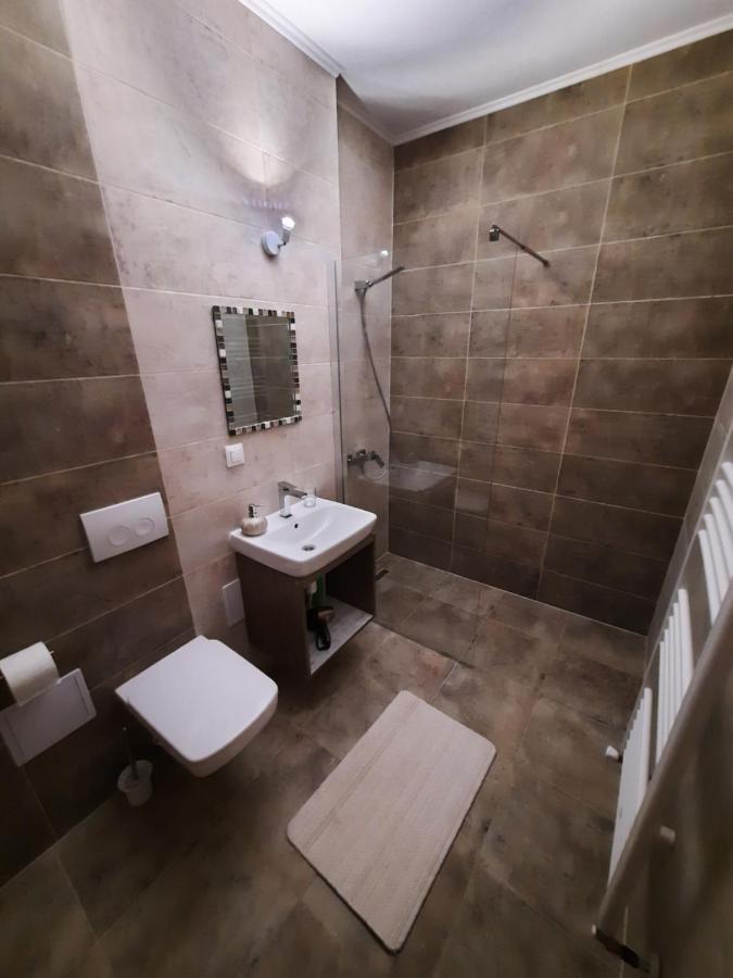 New Grey Residence Apartament Târgu-Mureş エクステリア 写真