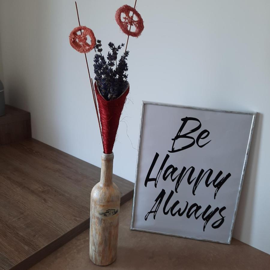 New Grey Residence Apartament Târgu-Mureş エクステリア 写真